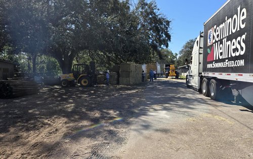 Hurricane Milton photo 1