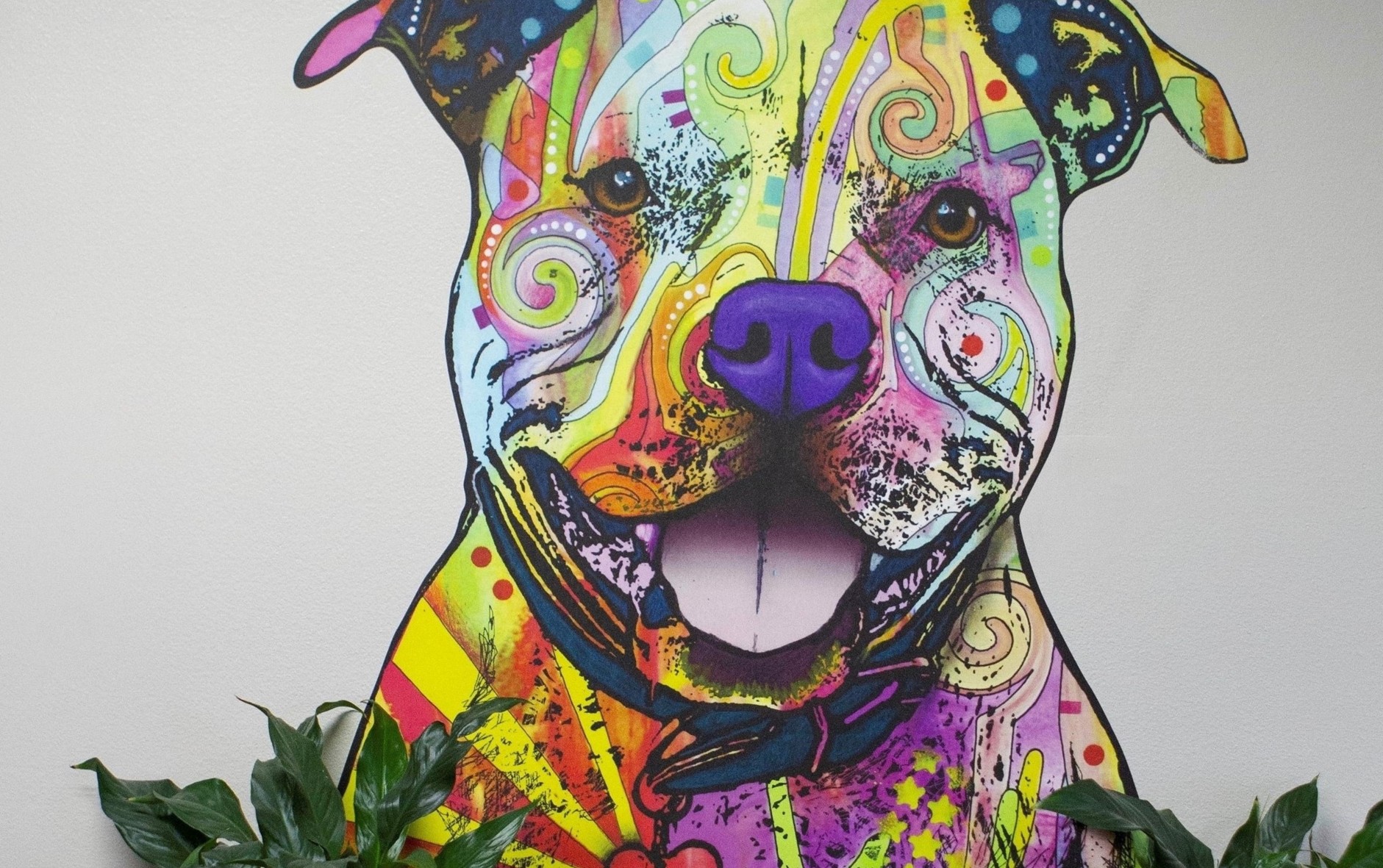 Register for Pet-Friendly Sheltering Online Training