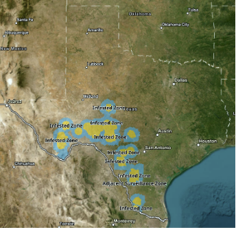 Florida Remains Vigilant as New World Screwworm Cases Rise in Texas