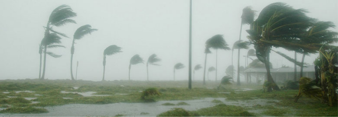 Hurricane Season Food Safety Tips